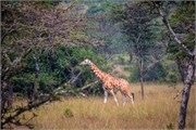 037-LakeMburo