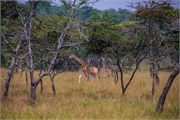 038-LakeMburo
