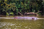 048-LakeMburo