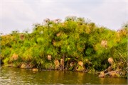 049-LakeMburo
