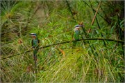 052-LakeMburo