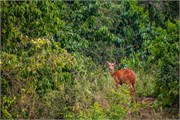 057-LakeMburo