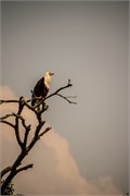 058-LakeMburo