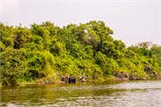 059-LakeMburo