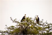 063-LakeMburo