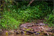 065-LakeMburo