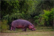 068-LakeMburo