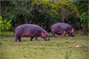 069-LakeMburo