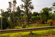 025-DriveUganda1