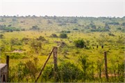 053-DriveUganda1
