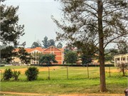 021-Drive2Bwindi