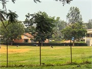 022-Drive2Bwindi