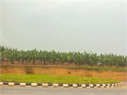 025-Drive2Bwindi