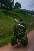 031-Drive2Bwindi