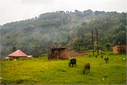 040-Drive2Bwindi