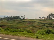 043-Drive2Bwindi