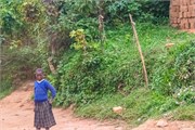 048-Drive2Bwindi