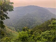 052-Drive2Bwindi