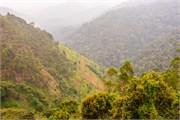 059-Drive2Bwindi
