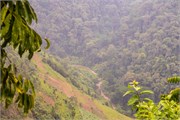 070-Drive2Bwindi