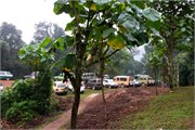 002-Bwindi