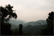 011-Bwindi