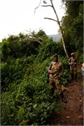 012-Bwindi