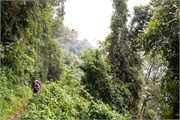 013-Bwindi