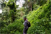 020-Bwindi