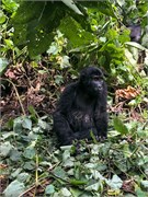 030-Bwindi