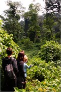 039-Bwindi