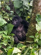 046-Bwindi