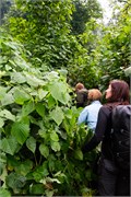 063-Bwindi