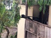 015-LakeBunyonyi