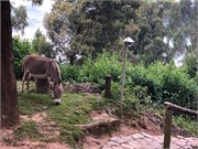 023-LakeBunyonyi