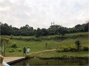 031-LakeBunyonyi