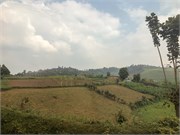 010-DriveUganda2