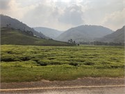 016-DriveUganda2
