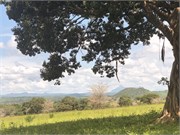 028-LilongweMalawi