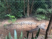 005-LilongweWildlifeCntr