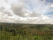 011-MzuzuMalawi
