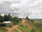 012-MzuzuMalawi