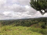 013-MzuzuMalawi