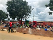 020-MzuzuMalawi