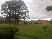 024-MzuzuMalawi