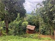 002-MzuzuFarm