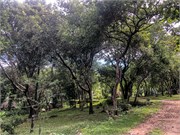 014-LakeMalawi