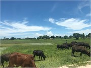 011-MalawiDrive2
