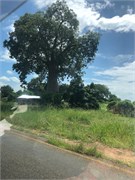 020-MalawiDrive2