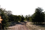006-Tremisana1stDrive